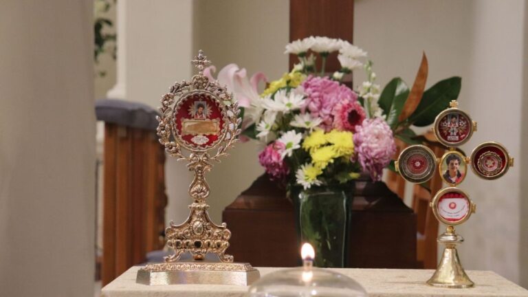 St Carlo Acutis relic in Wellington