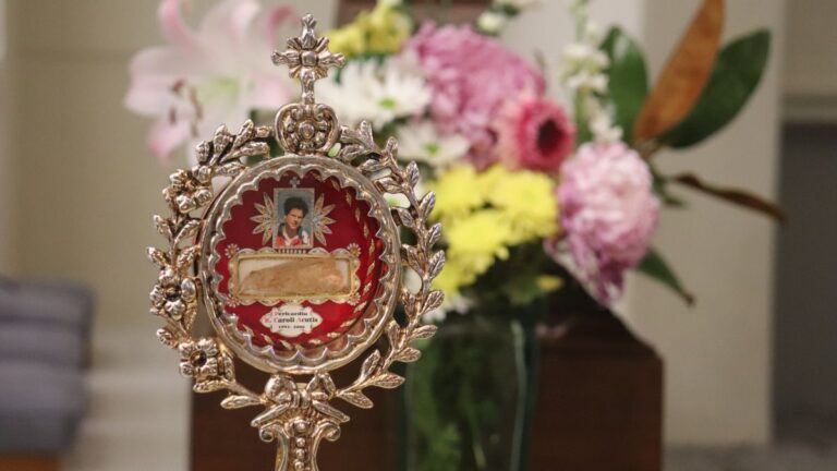 Last day of St Carlo Acutis relic in Wellington
